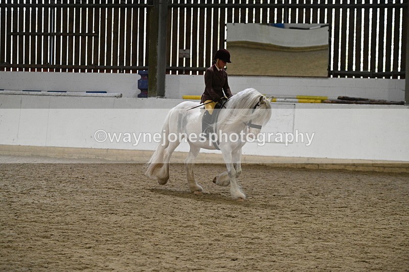 WJ7_3666 - Class 16 Ridden Coloured/ Odd Coloured