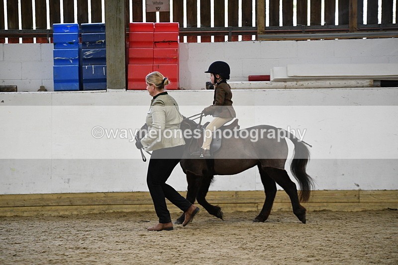 WJ5_6621 - Class 10 Childs Pony