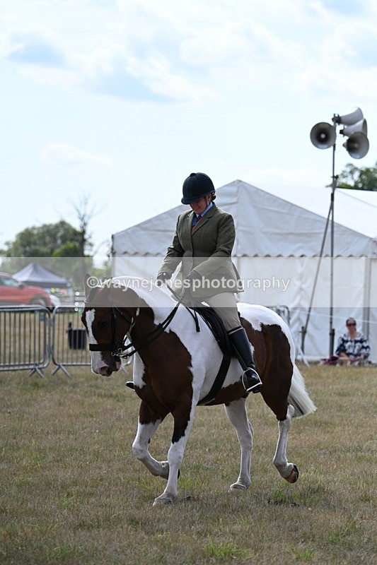 WJ7_7331 - Class 14 Ridden Coloured