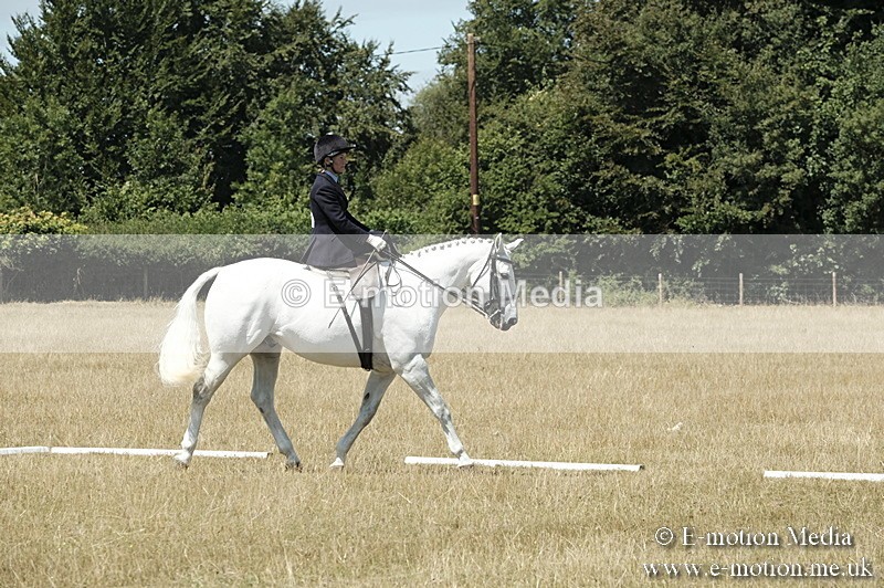 _PJP5950 - Dressage Classes BVRC Show 2018