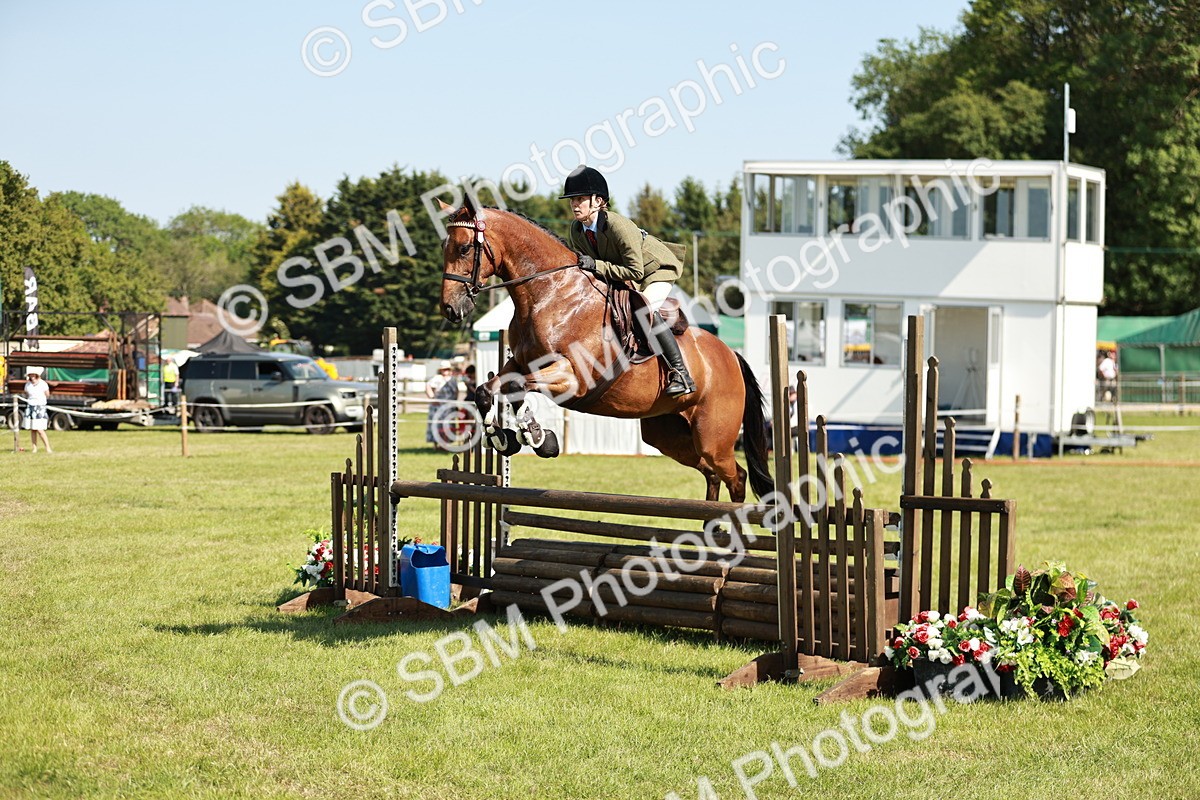 SBM_18828 - Class 114 - RIHS & SEIB Open Working Show Horse