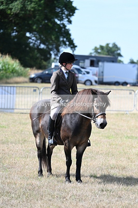 WJ7_2711 - Class 8 Ridden Tack & Turnout