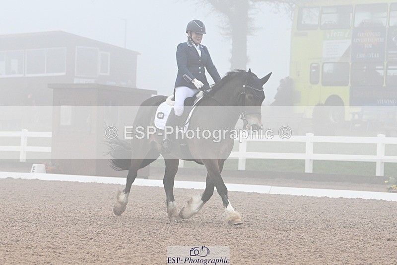 240217A-125306-02705 - 251-Alison.Crimp-Crwys.Beau