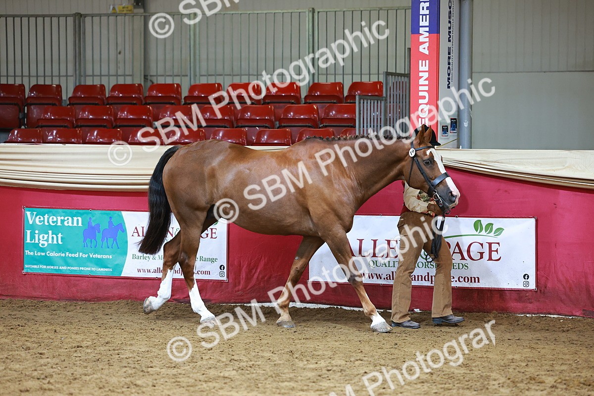 SBM_18385 - Class 903 - Sup Final - IH Pre Vet