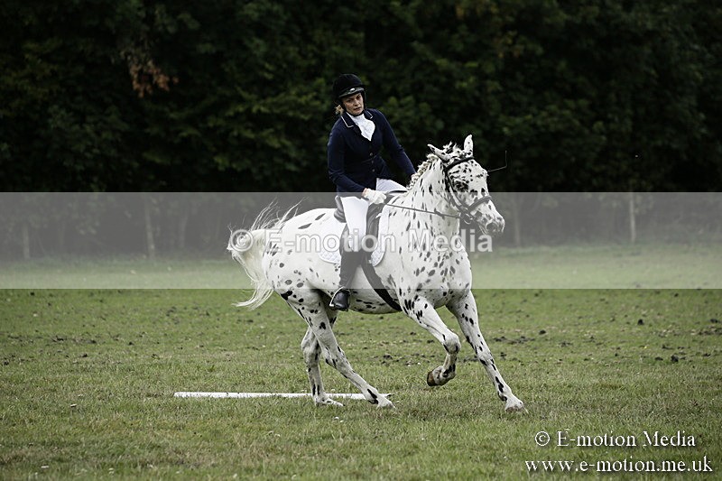 BVR080918 284 - BVRC Novice Dressage & CR 08/09/18
