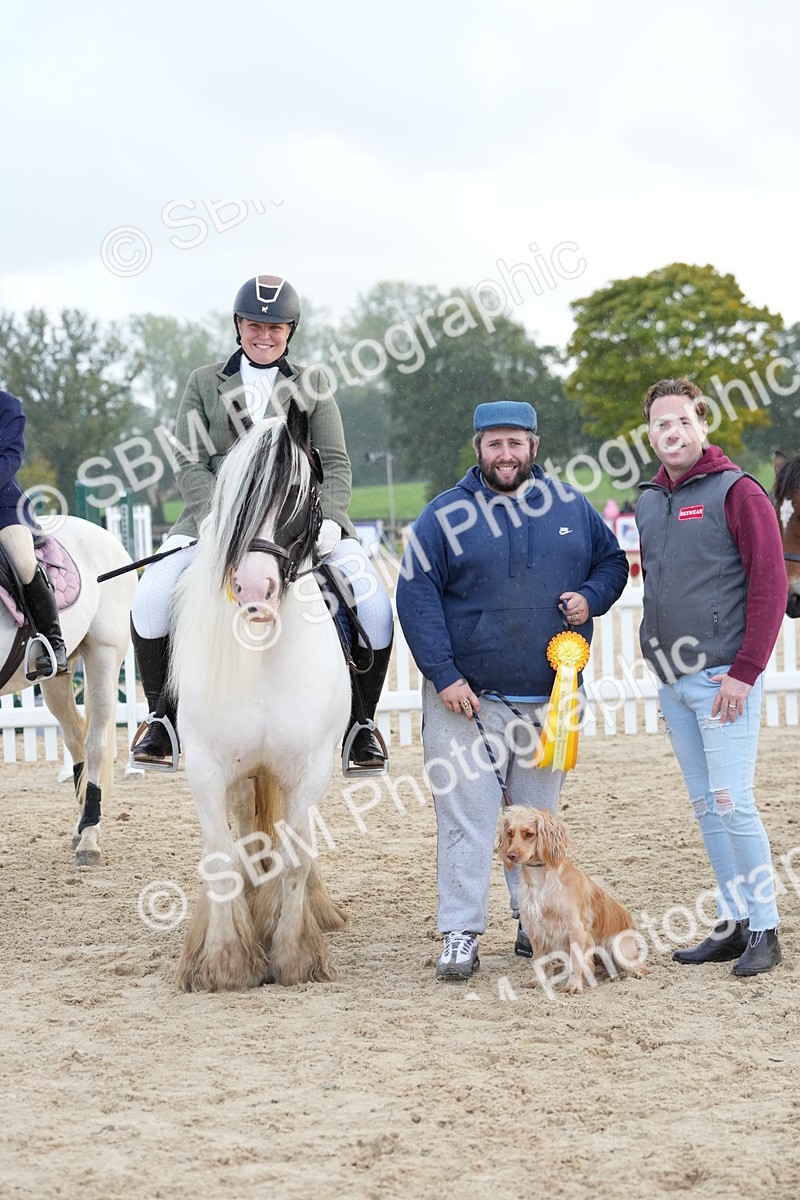 SBM_29215 - J43 - Horse & Hound Open 50cm