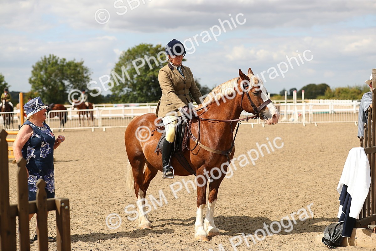 SBM_04718 - Class 46b Style & Performance 50cm (20+)