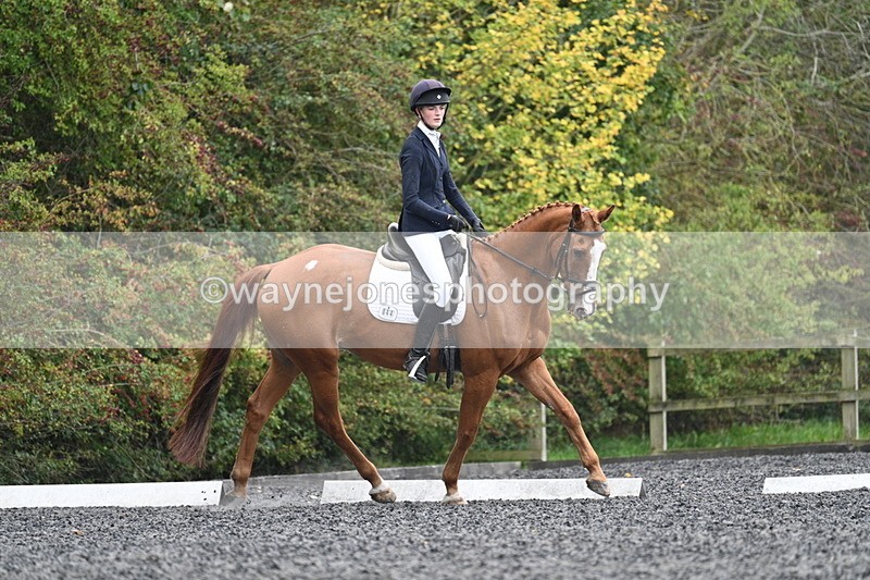 WJ7_6629 - Time 14:49 to 15:14