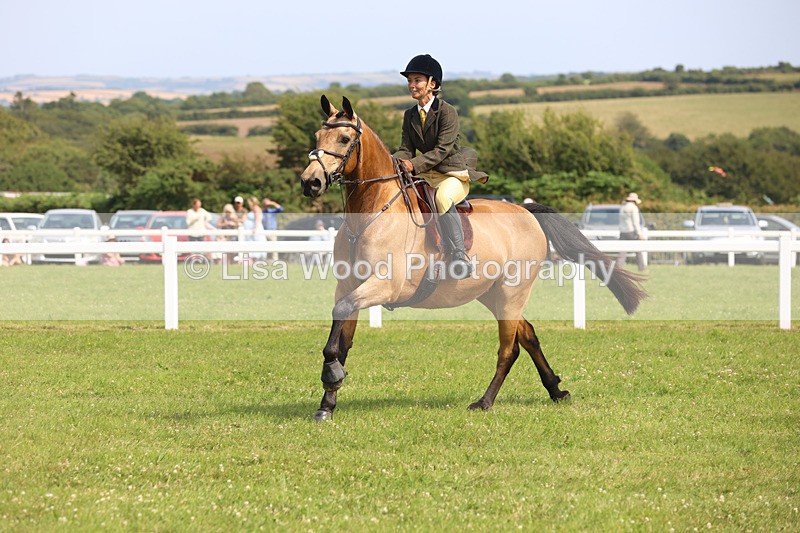 JPP_3728 - Class 23: Working Hunter 80cm