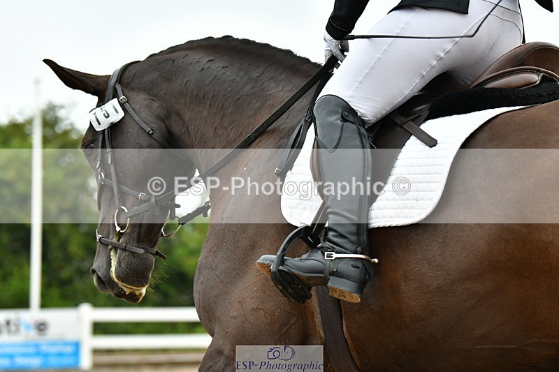 230708A-120408-02700 - Prelim 13