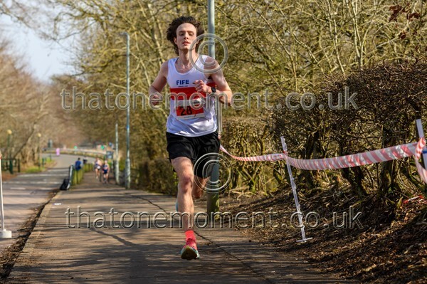 Livi26-914412 - Male Set Three