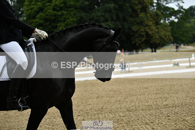 250718A-102240-00118 - 100-Elaine.Cleverdon-PAGANTE