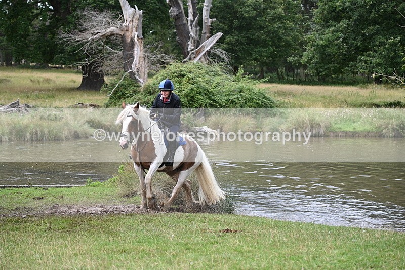 WJ7_5052 - Time at Water 14:00 to 14:53