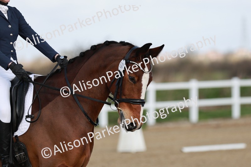 20260314-1068 - DR2 - Intro 3