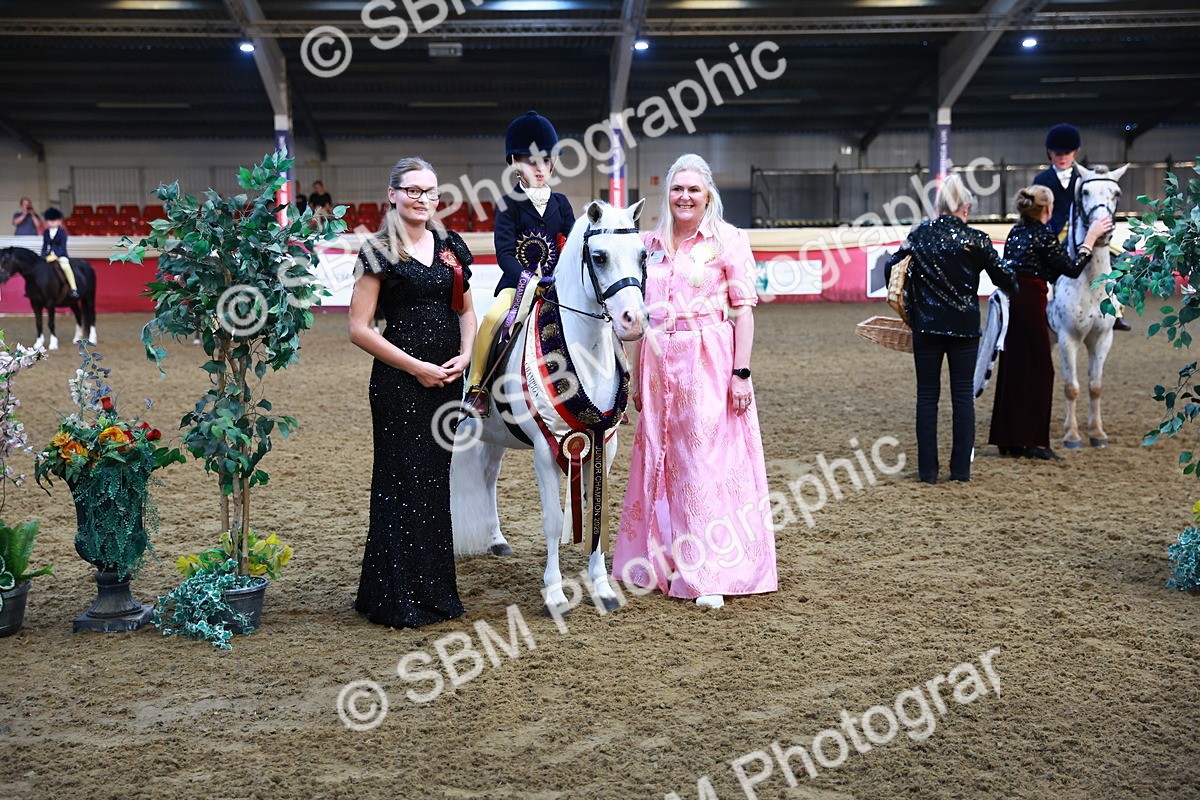 SBM_14626 - Class A - Junior Champ 10 year and Under