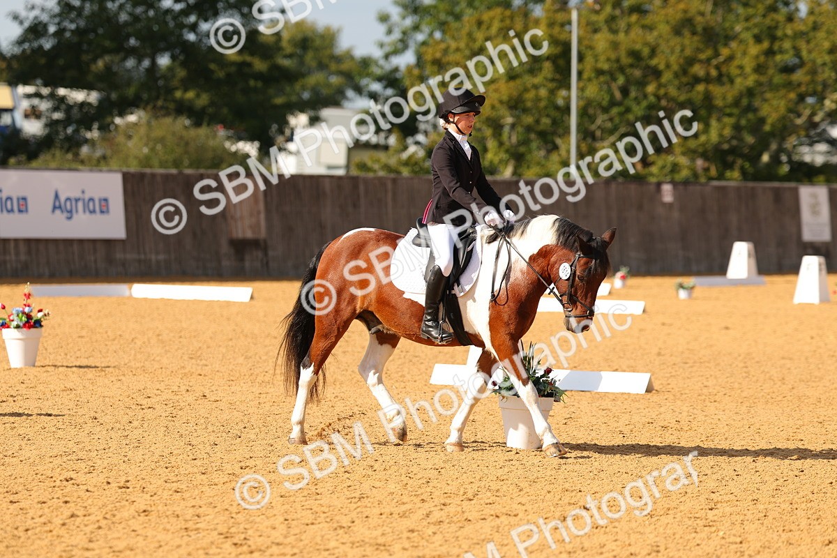 SBM_48419 - D6 - Small Tour Championship - Intro C