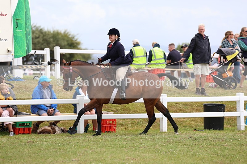 3E7A1011 - Class 8: Open Riding Horse/Hack