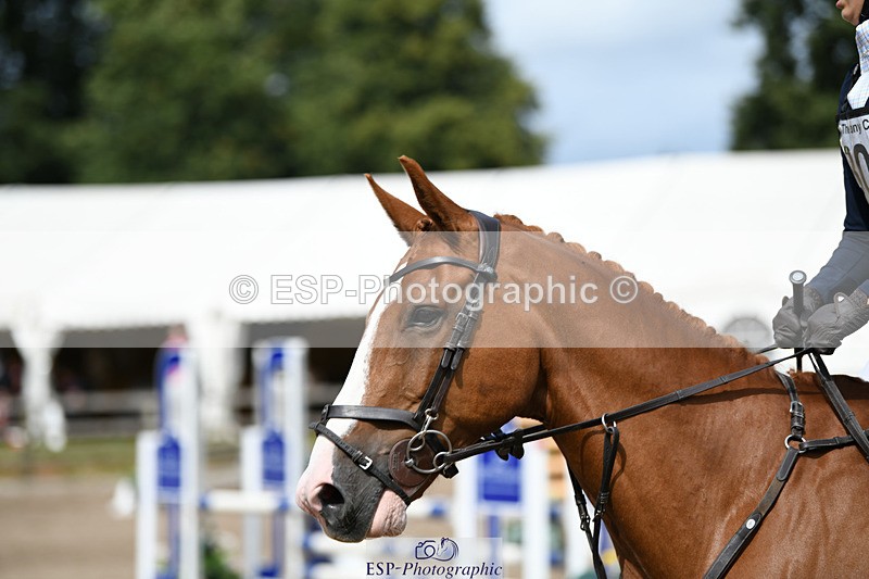 240825X-134835-34218 - 80cm SJ 12.45 to 14.00