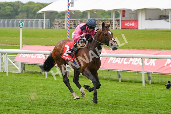yr14052021r4-22 - Race 4 3.10pm The Matchbook Yorkshire Cup