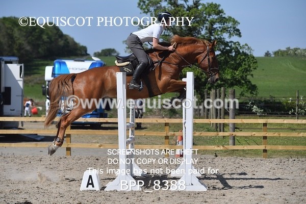 BPP_8388 - CLASS 6 Senior Newcomers/ 1.10m Open