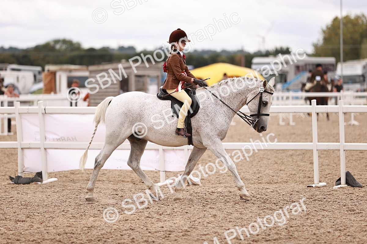 SBM_18636 - Class 421 - Childs Best Friend - Jnr
