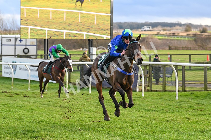 020224-Race 5-Shighness-8547 - Race 5