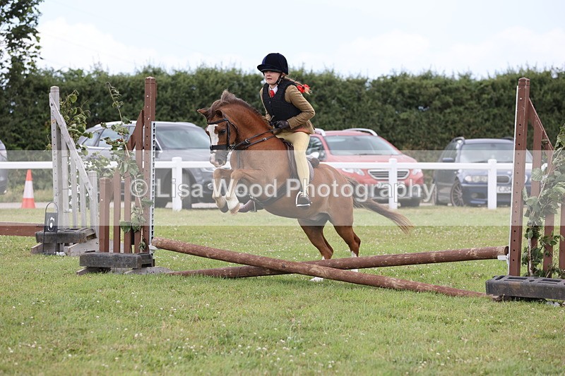 JPP_1751 - Class 18: Tiny Tots Working Hunter Pony
