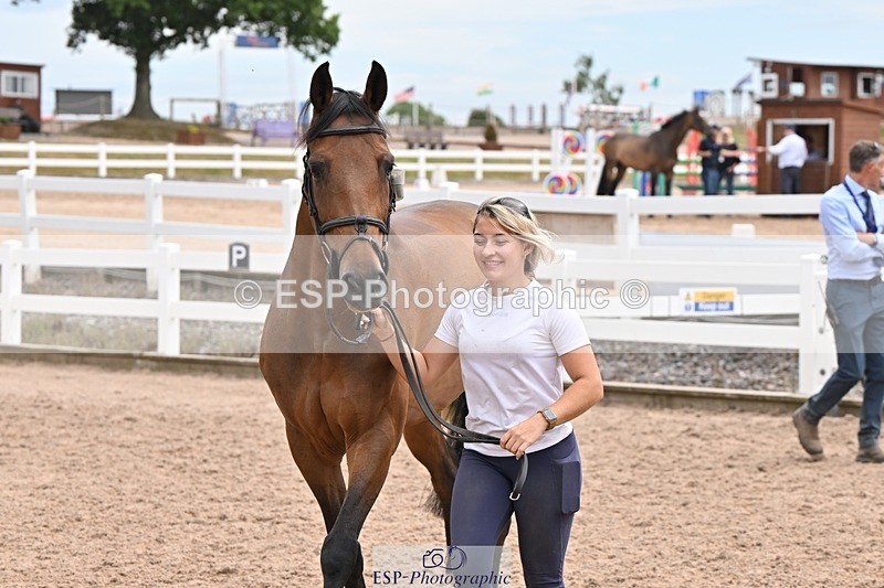 250716-144049-01299 - Trot Up 2.30 to 3.30