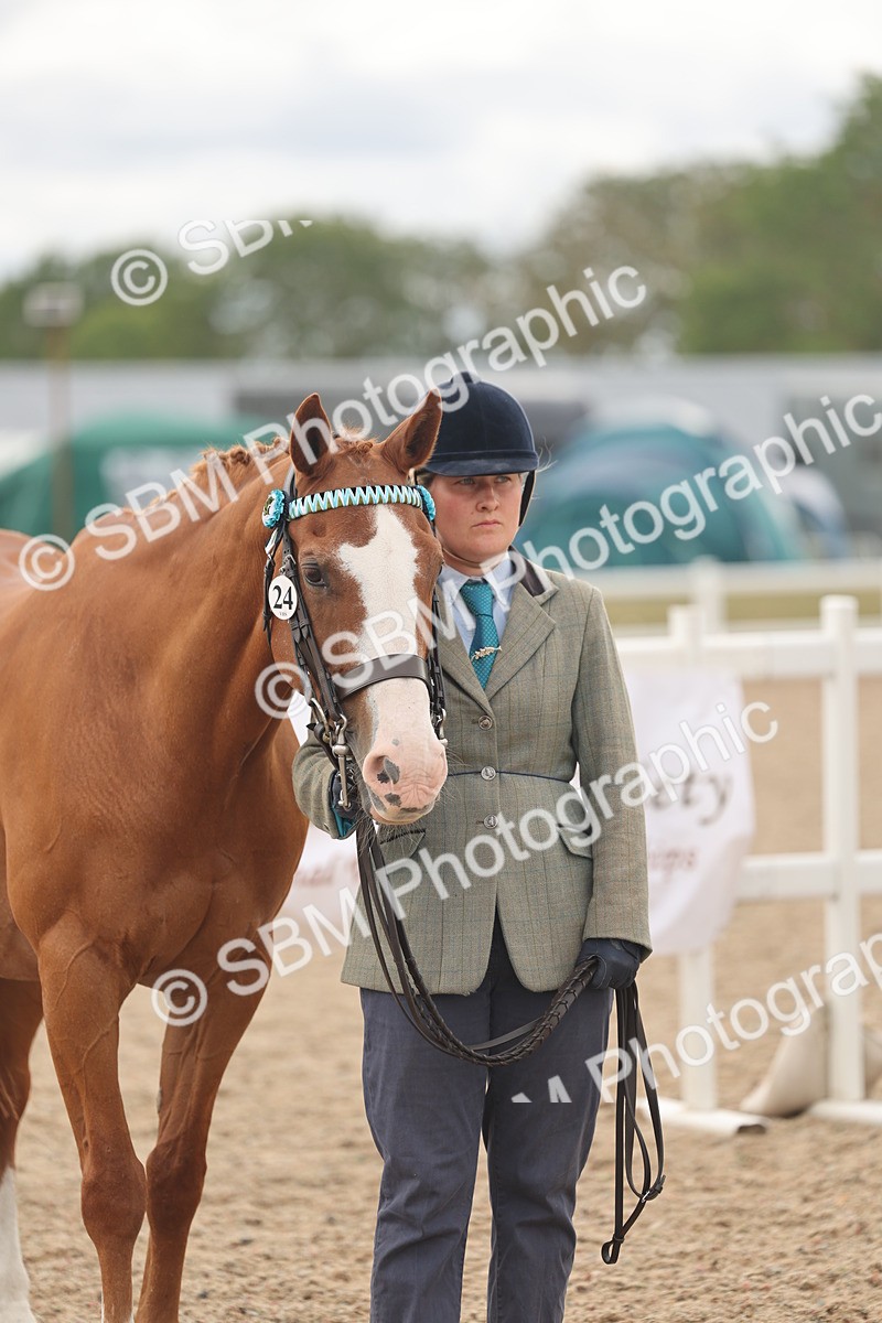 SBM_17018 - Class 312 - IH Competition Horse-Pony