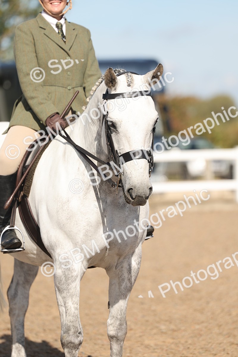 SBM_12359 - Class 304 - Ridden part Bred Horse Pony