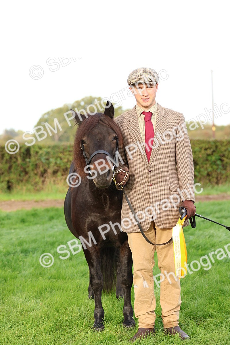 SBM_54909 - S39 - Starters In Hand Showing