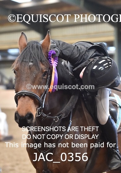 JAC_0356 - CLASS 7 Small Open Show Jumping - (0.80m)