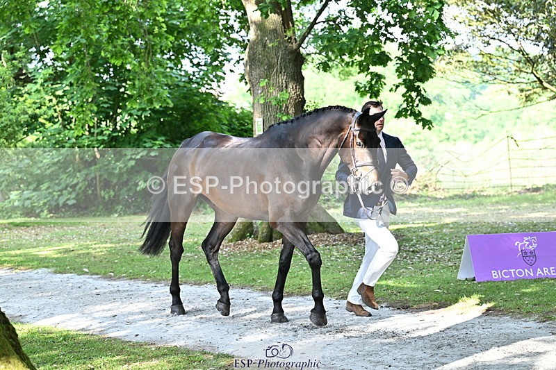 250521A-164942-01360 - C-264-Max.Warburton-EARL.DORADO