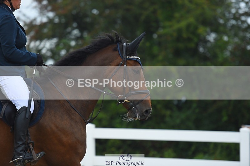 230916A-105436-03550 - Cls 21 British Novice & 90cm Open