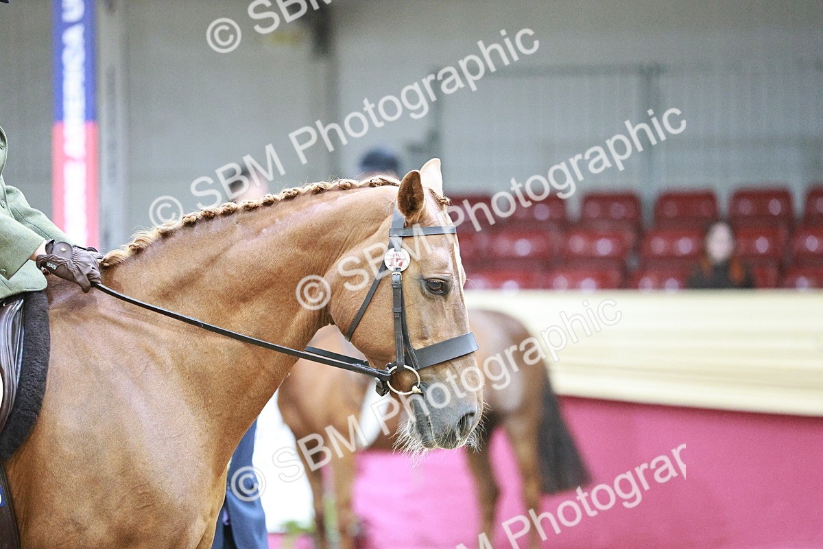 SBM_03392 - Class 6A Area Ridden Pre-Vet