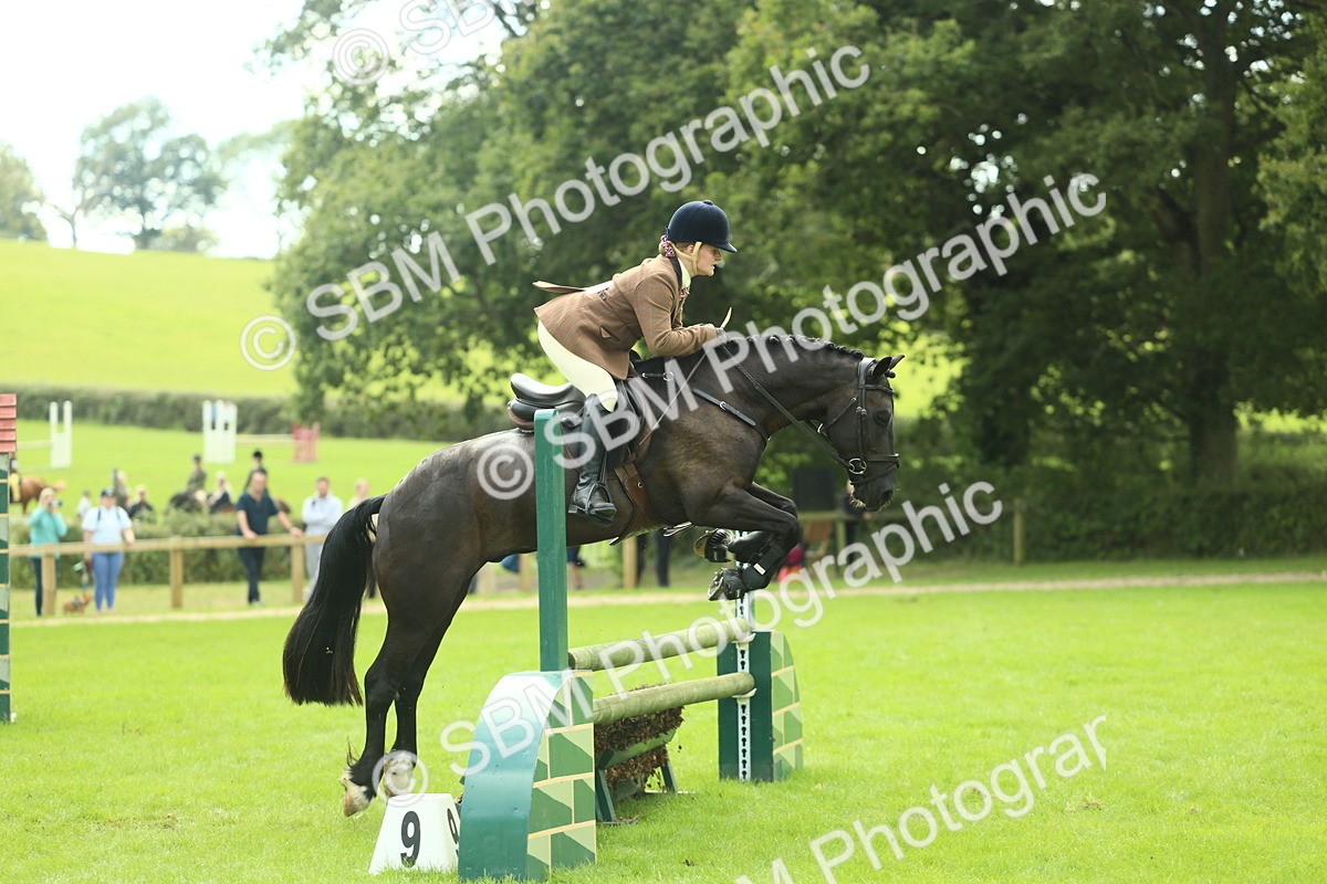 SBM_44782 - S31 - Working Hunter Pony