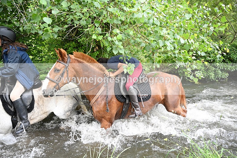 WJ7_2463 - Camera 2 Water Crossing