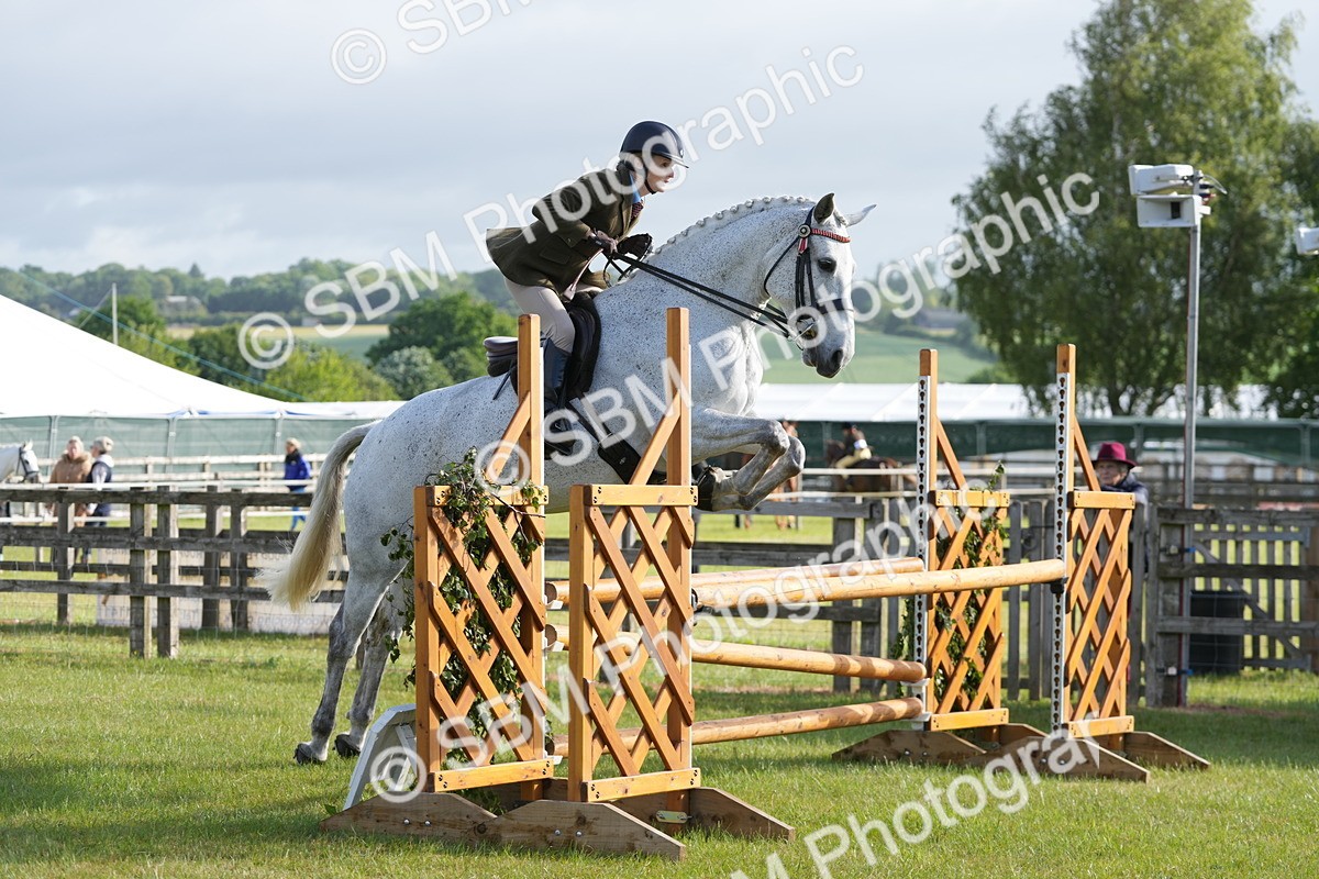 SBM_10559 - Class 97-98 - LIHS BSHA Rising Star Working Show Horse Hunter