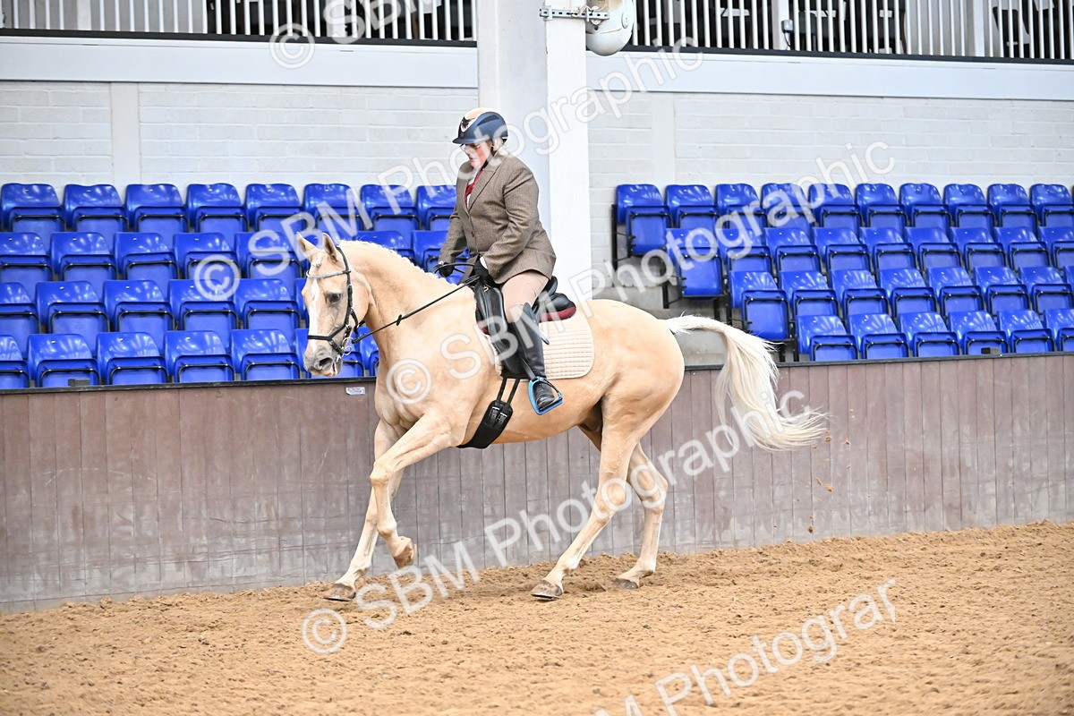 SBM_001471 - Class 19,20 - Ridden Native, Foreign Breeds & Warmbloods