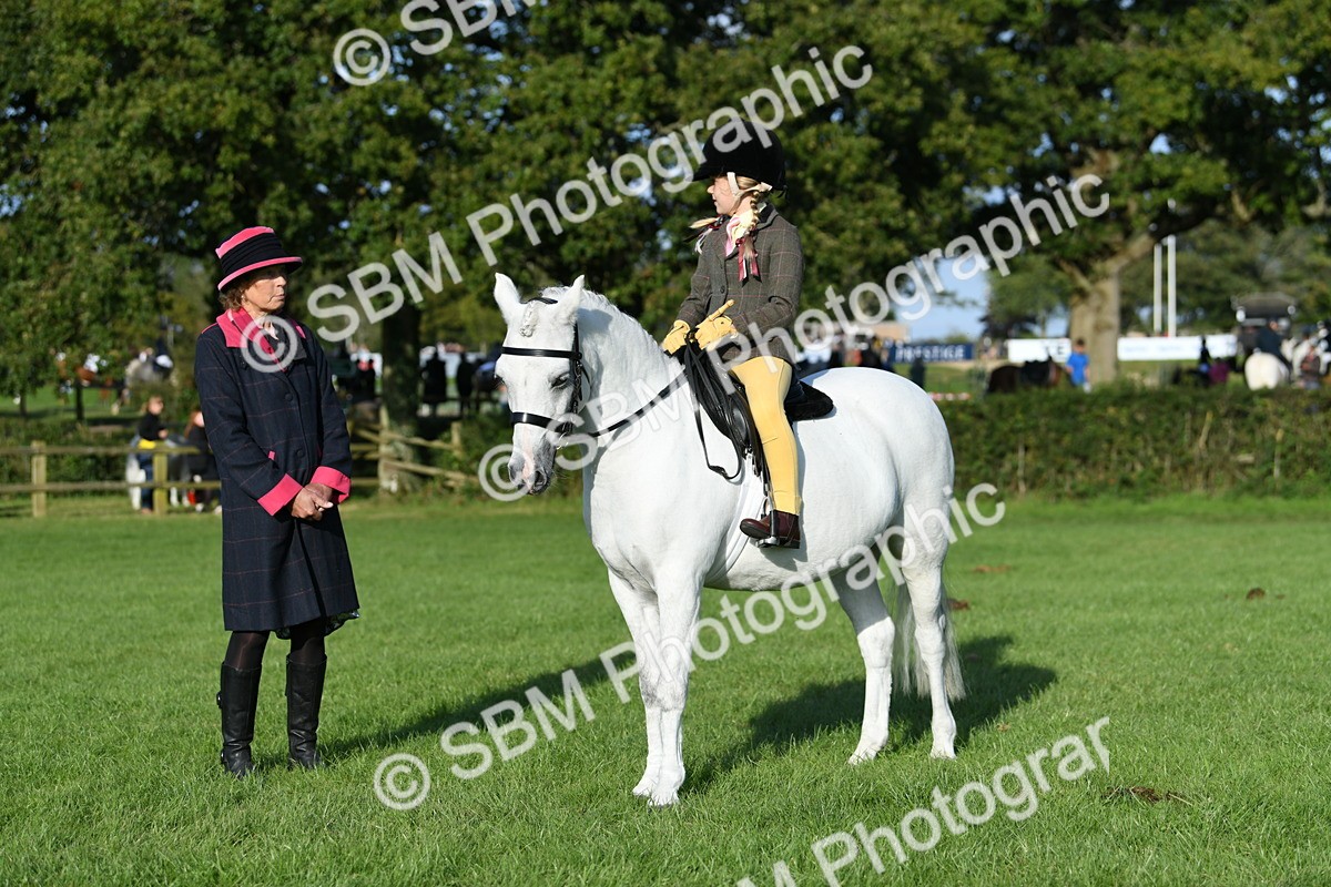 SBM_52414 - S22 - 1st Ridden Show & Show Hunter Pony