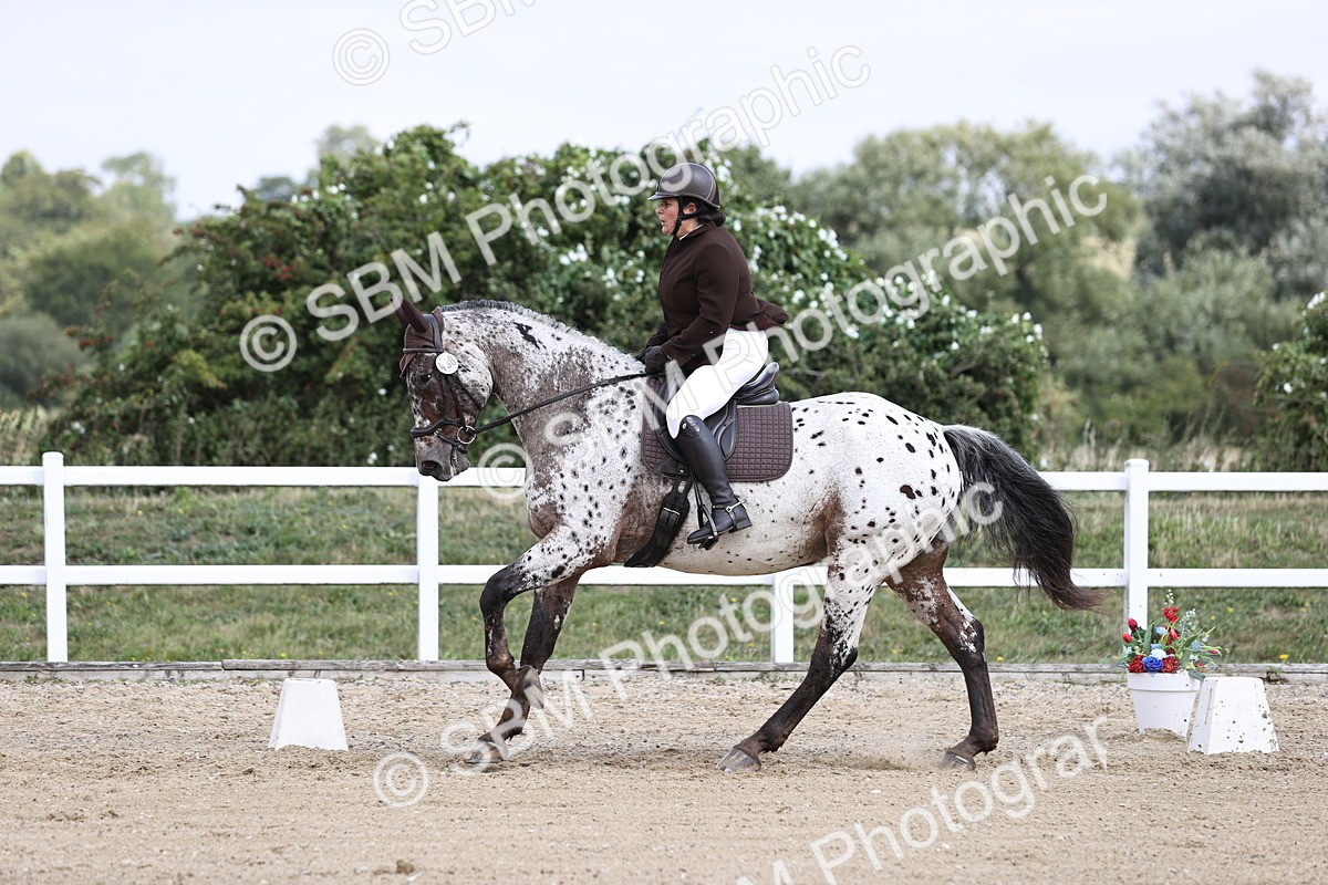 SBM_016845 - Class 14 Novice 23 - 11.53-12.56