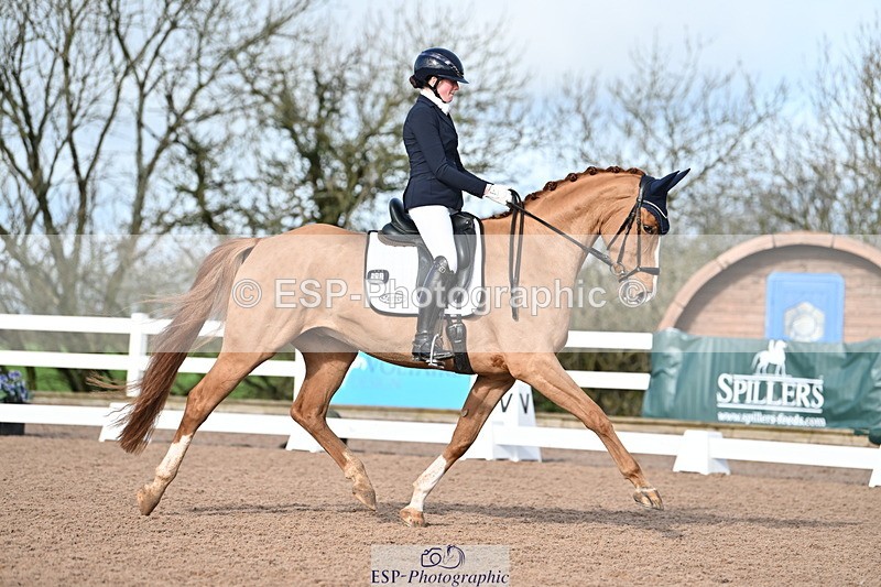 240218A-114128-06801 - 272-Beth.Bainbridge-Newton.Dreamcatcher