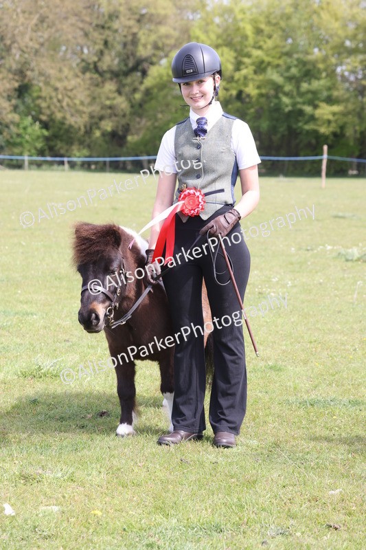 20260426-3214 - Class 26 - Shetland Ponies and Minitures