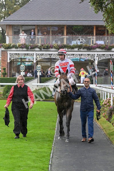 080924-Race 7-Young Fire-9779 - Race 7 5.10pm Elevator Company Amateur Jockeys' Handicap