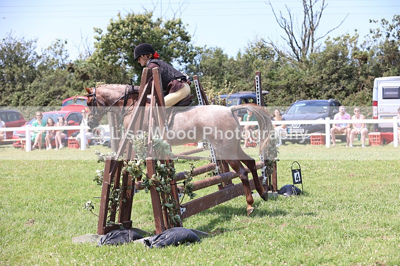 JPP_2439 - Class 21: Working Hunter 60cm