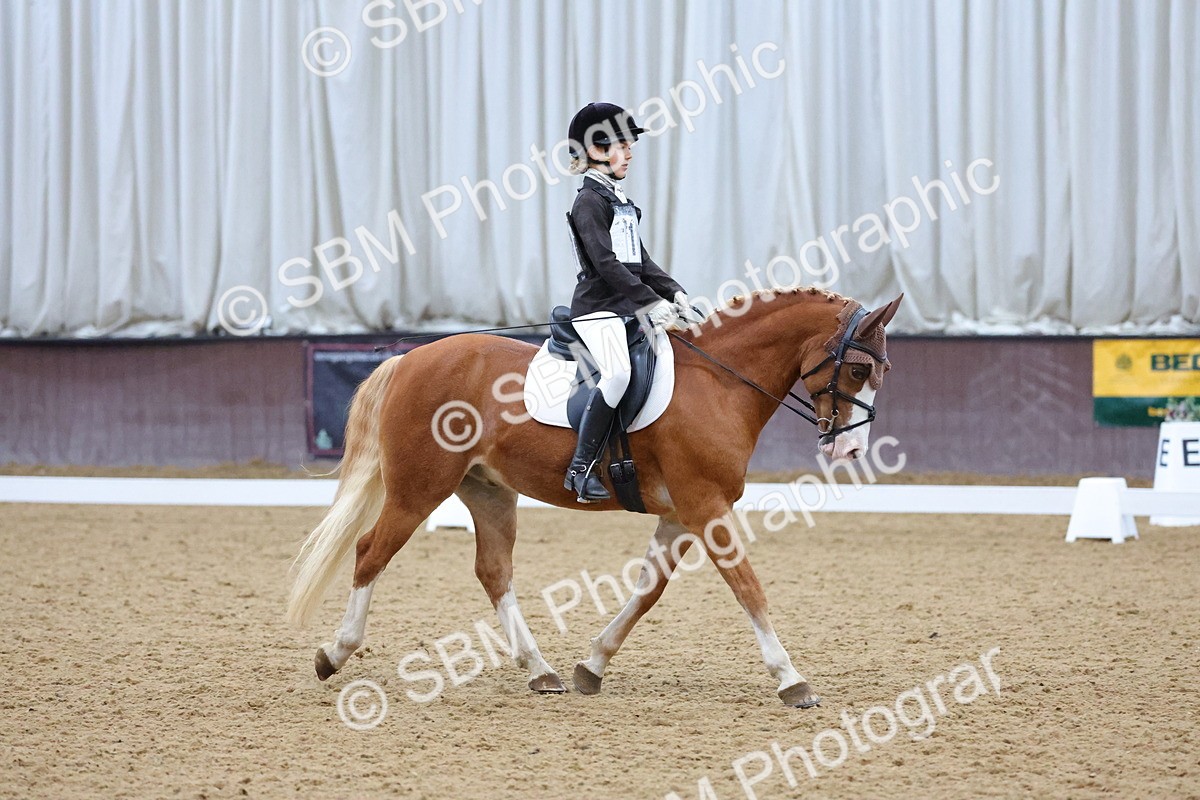 SBM_004189 - Intermediate