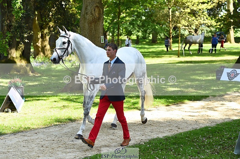230524-151452-00158 - 314-CHANTILLY_AMATULLAH-Gaspard_Maksud-WEDTrotUp+DR