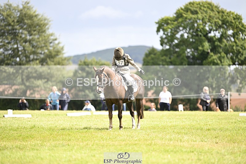 240824X-124923-26557 - D80 Section E and F 12.00 to 13.20