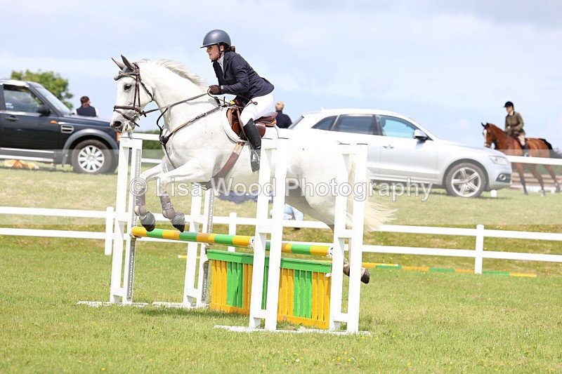 3E7A7383 - Class 13: Senior British Novice/90cm open