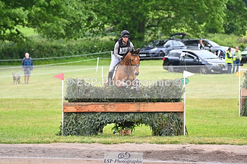 250524A-112014-09490 - B-363-Tom.D.Crisp-BLS.ABSOLUTELY